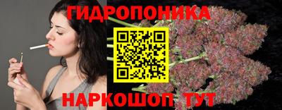 прущие грибы Комсомольск-на-Амуре