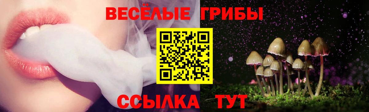 Псилоцибиновые грибы мухоморы  Вход с VPN  Кировск 
